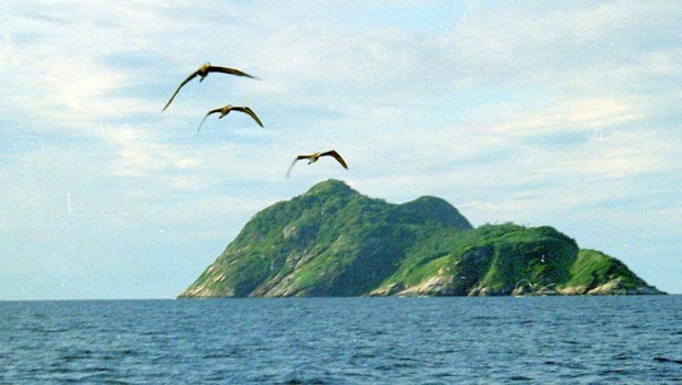 Ilha-de-Queimada-Grande-Brasil